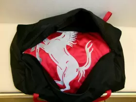 70005074 Ferrari 488 Pista. Red Indoor Car Cover With Logo. Genuine