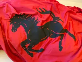 079835776 Ferrari 79835776 Indoor Car Cover #79835776 #079835776 Oem Original Genuine