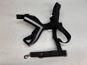 Lamborghini 4ml019409b Urus Dog Belt Size Large Oem