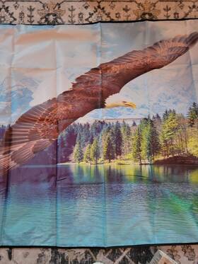 Woodland Creek Sku#000xa8 Eagle Windshield Cover For Car Window Winter Use