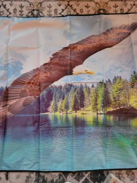 000xa8 Woodland Creek Sku#000xa8 Eagle Windshield Cover For Car Window Winter Use