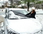 Delk Frostguard Front Windshield Snow Cover Fg-pro 61" 52871-12DS New. Price: $29.99.