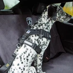 Lamborghini Urus Dog Belt Size Large Oem 4ML019409B New. Price: $250.00.