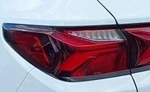 2019-2022 Chevrolet Blazer Lh Driver Quarter Panel Mounted Tail Light Lamp Oem Used. Price: $285.14.