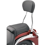 Cobra Sissy Bar Tall Raider 02-7765 New. Price: $416.31.